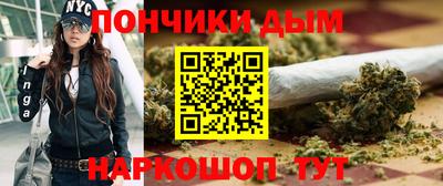 сатива Нальчик