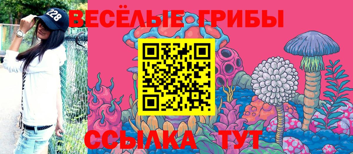 Галлюциногенные грибы Psilocybine cubensis  Вход с VPN  сколько стоит  Псилоцибиновые грибы Cubensis  Владимир 